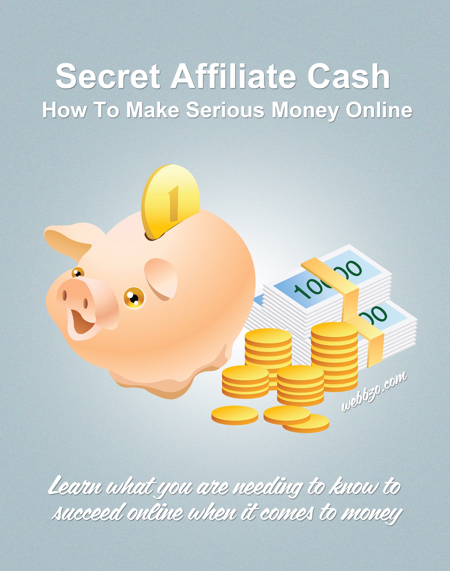 Serious money online -make money online (Digital Product)