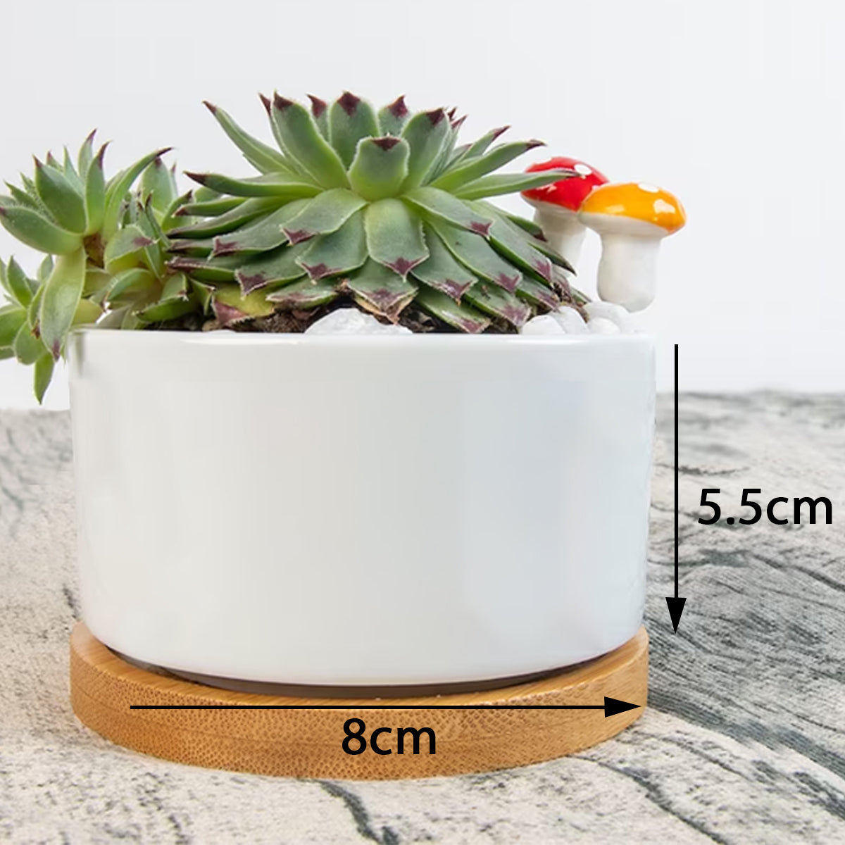 Single Side Printing Flowerpot